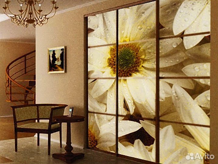 Фотопечать на фасады шкафа купе