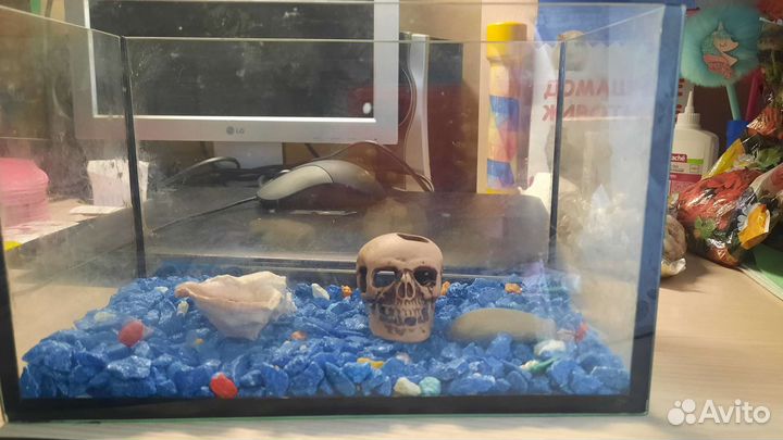 Аквариум