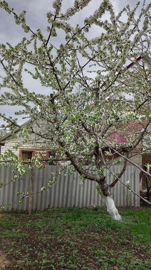 Дом 33,4 м² на участке 15 сот.