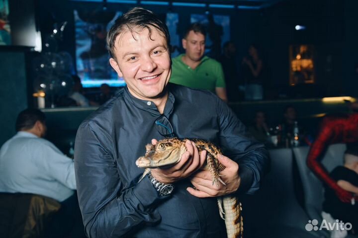 Фото и видеосъемка