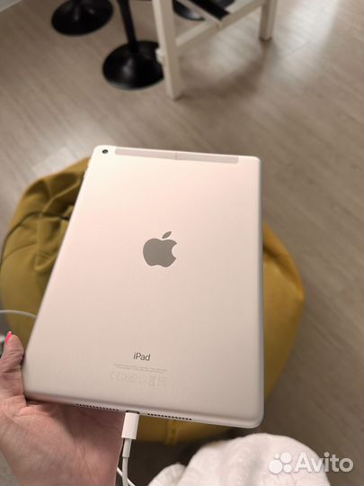 iPad