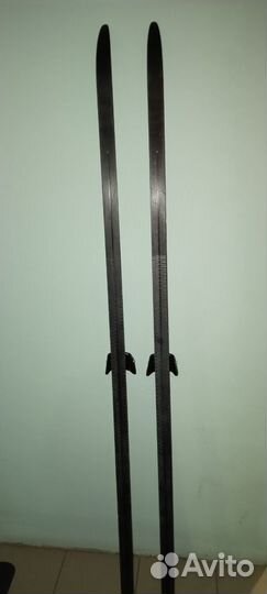 Беговые лыжи nordway