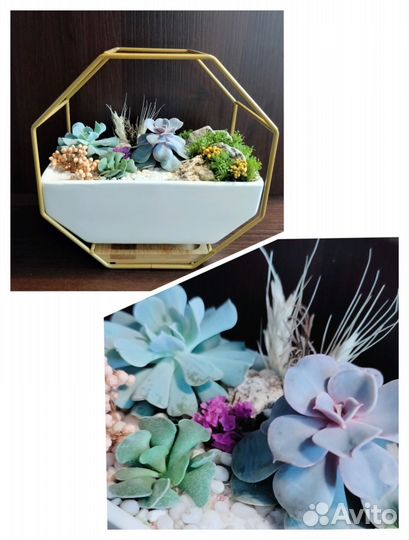 Флорариум с живыми цветами, подарок, декор, цветы