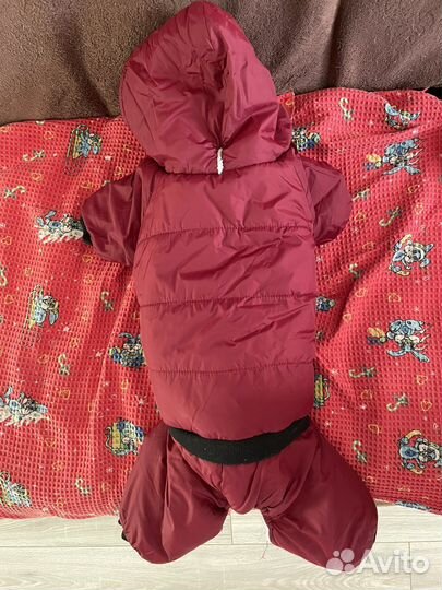 Комбинезон для средней собаки