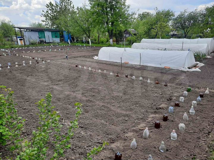 Участок 6 сот. (СНТ, ДНП)