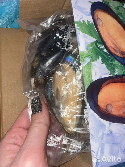 Мидии киви 1/2 раковины, мидии черные гиганты