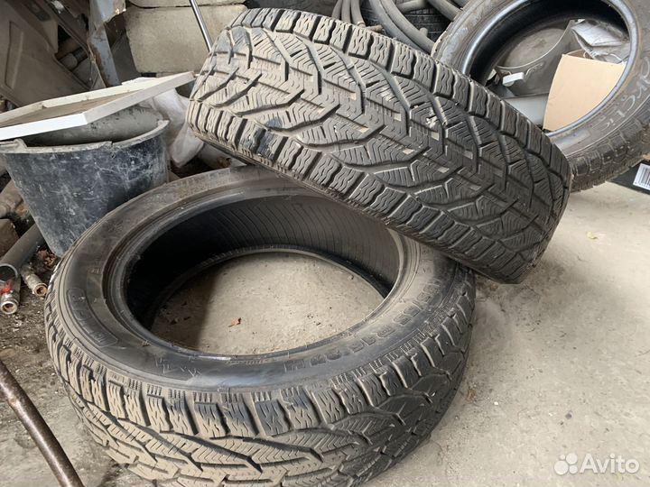 Tigar Winter 1 195/55 R16 87H