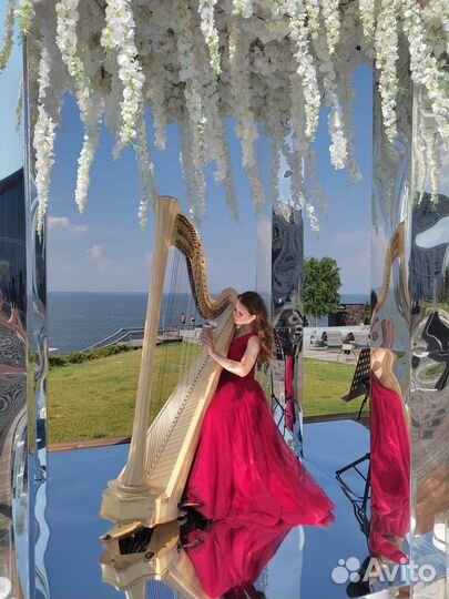 Музыканты на мероприятие