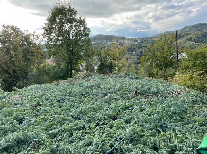 Участок 11 сот. (ИЖС)