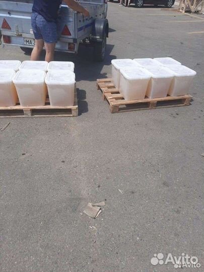 Мед белой акации