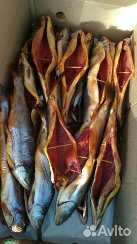 Рыба Голец х/к