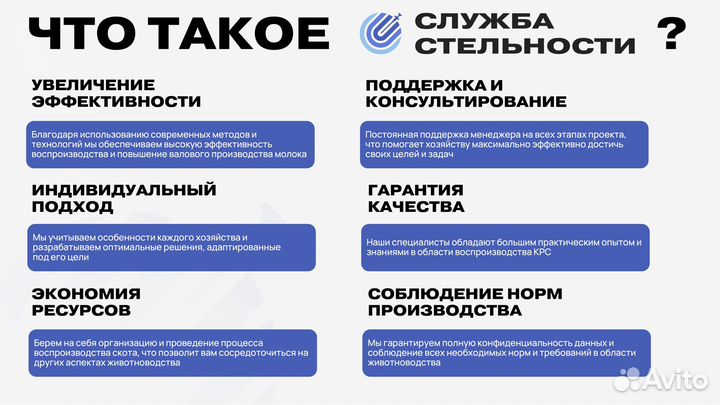 Осеменение коров