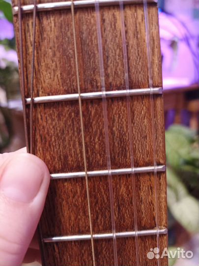 Классическая гитара Kremona Rondo soloist r65s