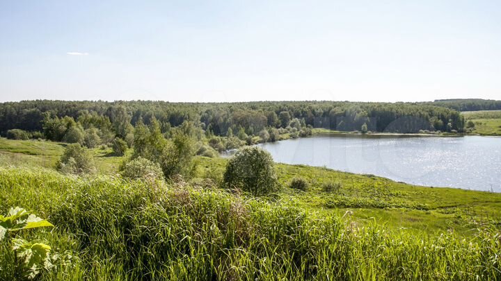 Участок 40 сот. (ИЖС)