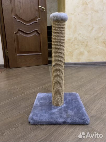 Когтеточка