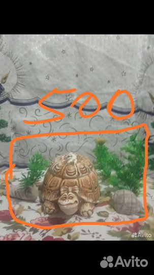 Морской аквариум