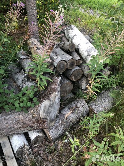 Дрова бесплатно даром