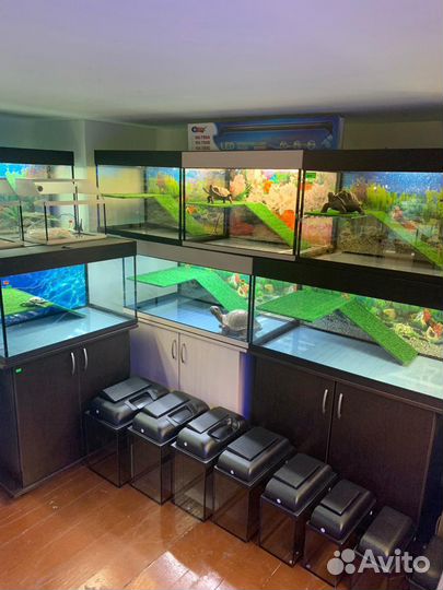 Аквариум - террариум