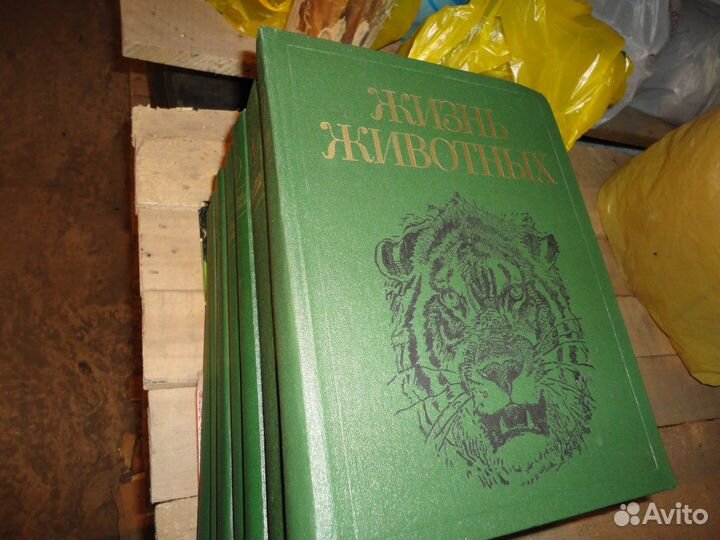 Жизнь животных