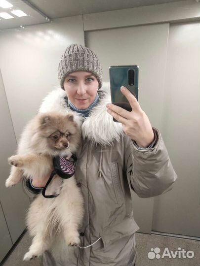 Передержка/выгул небольших собак