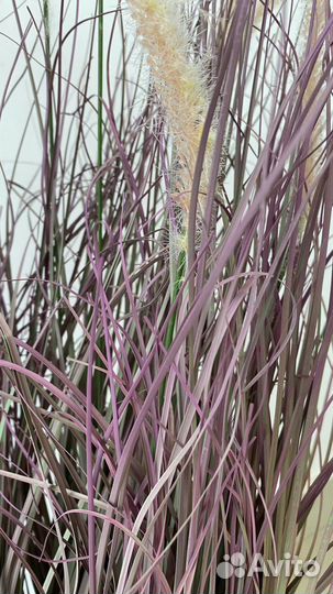 Осока искуственная