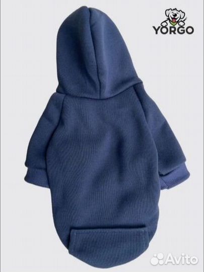 Одежда для кошек