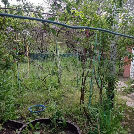 Участок 6 сот. (ИЖС)