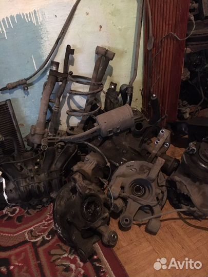 Сузуки Лиана в разбор