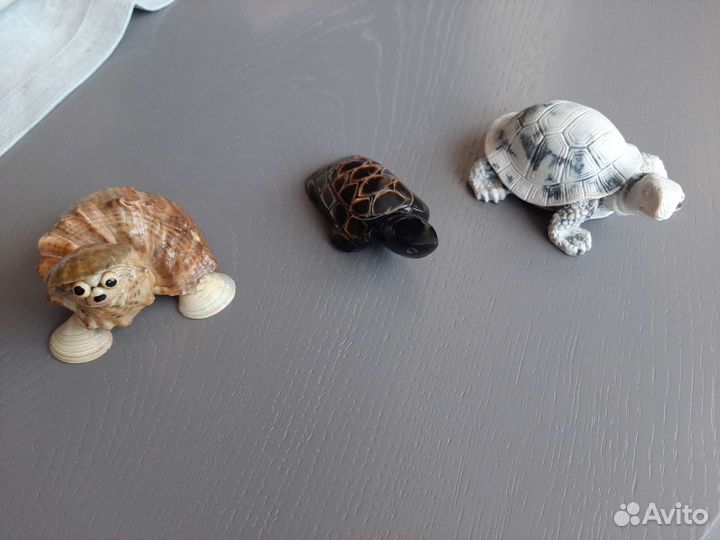 Черепаха в коллекцию