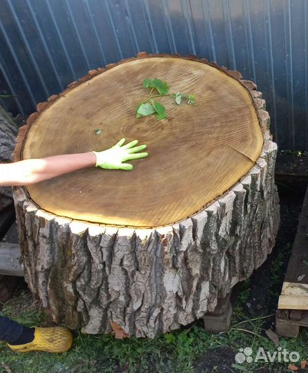 Слэб дерева и спилы