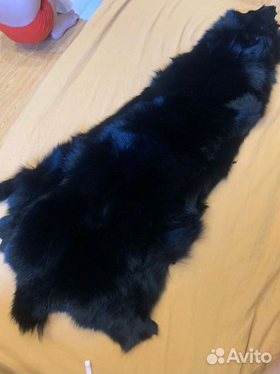 Шкура песца