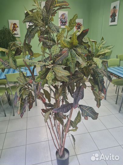 Драцена искусственная