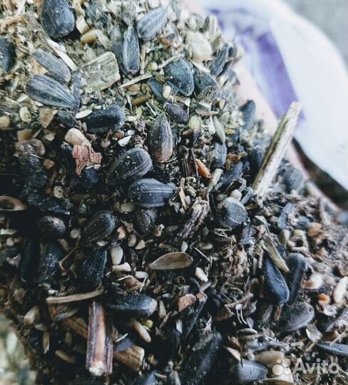 Отходы семечки