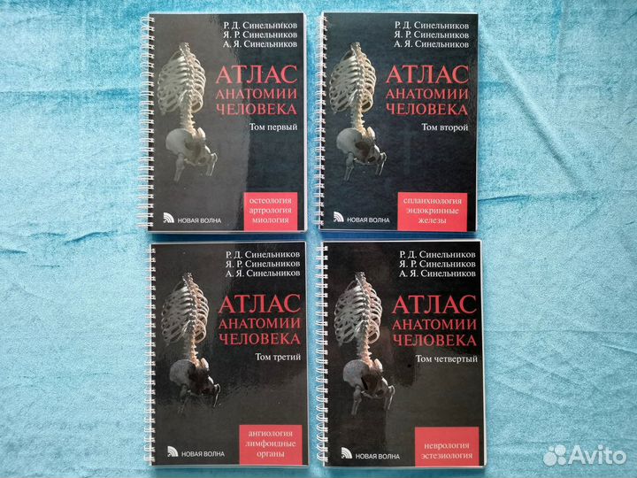Атлас анатомии человека Синельников в 4-х томах