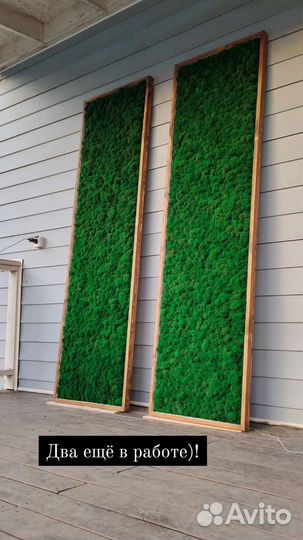 Панно из стабилизированного мха с подсветкой