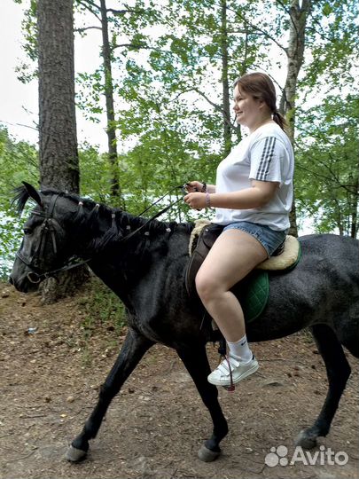 Катание на лошади