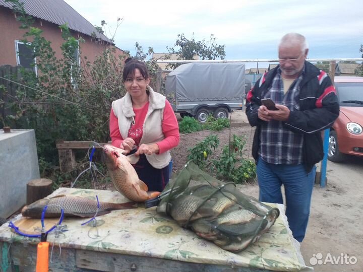 Рыбалка в низовьях волги