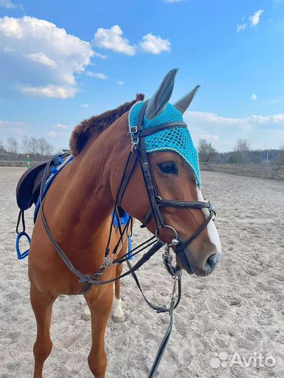 Ушки для лошади на заказ