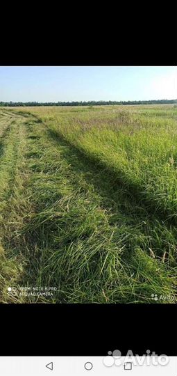 Сено Люцерна и луговое с доставкой по области