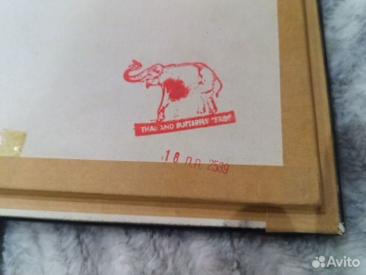 Тропическая бабочка в рамке (тайланд)