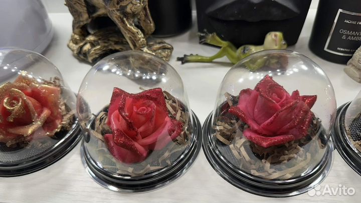 Роза в куполе