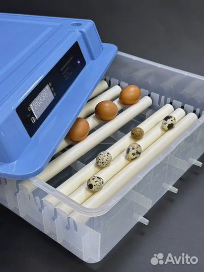 Инкубатор для яиц автоматический, терморегулятор