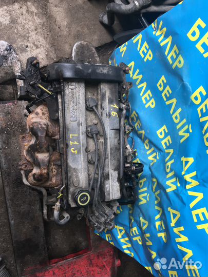 Двигатель Ford Zetec 1,6 L1J
