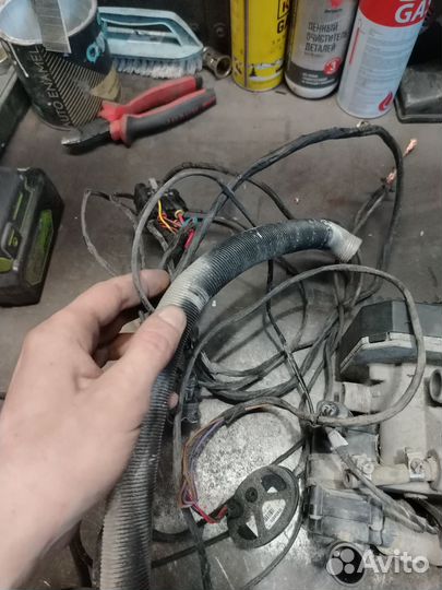 Webasto термо топ с 12 в 5 кв diesel