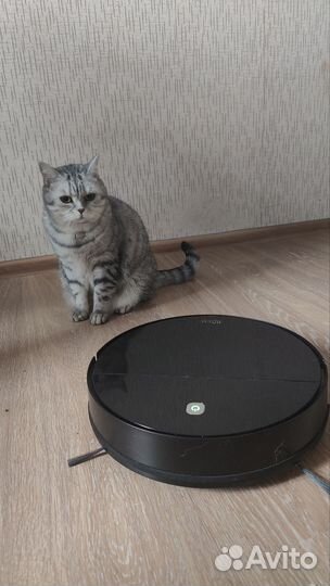 Робот пылесос