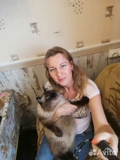 Зооняня, уход за животными на вашей территории