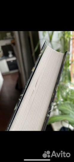 Green witch Эрин Мерфи - Хискок