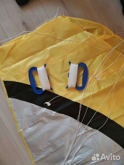 Пилотажный кайт Воздушный змей