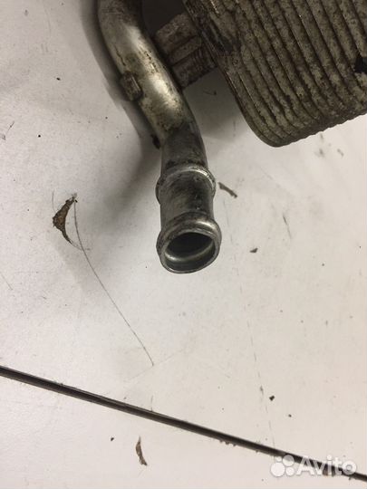 Радиатор масляный двигателя (Volkswagen Touareg)