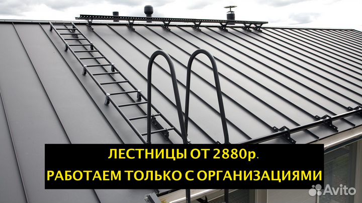 Лестницы кровельные только для организаций